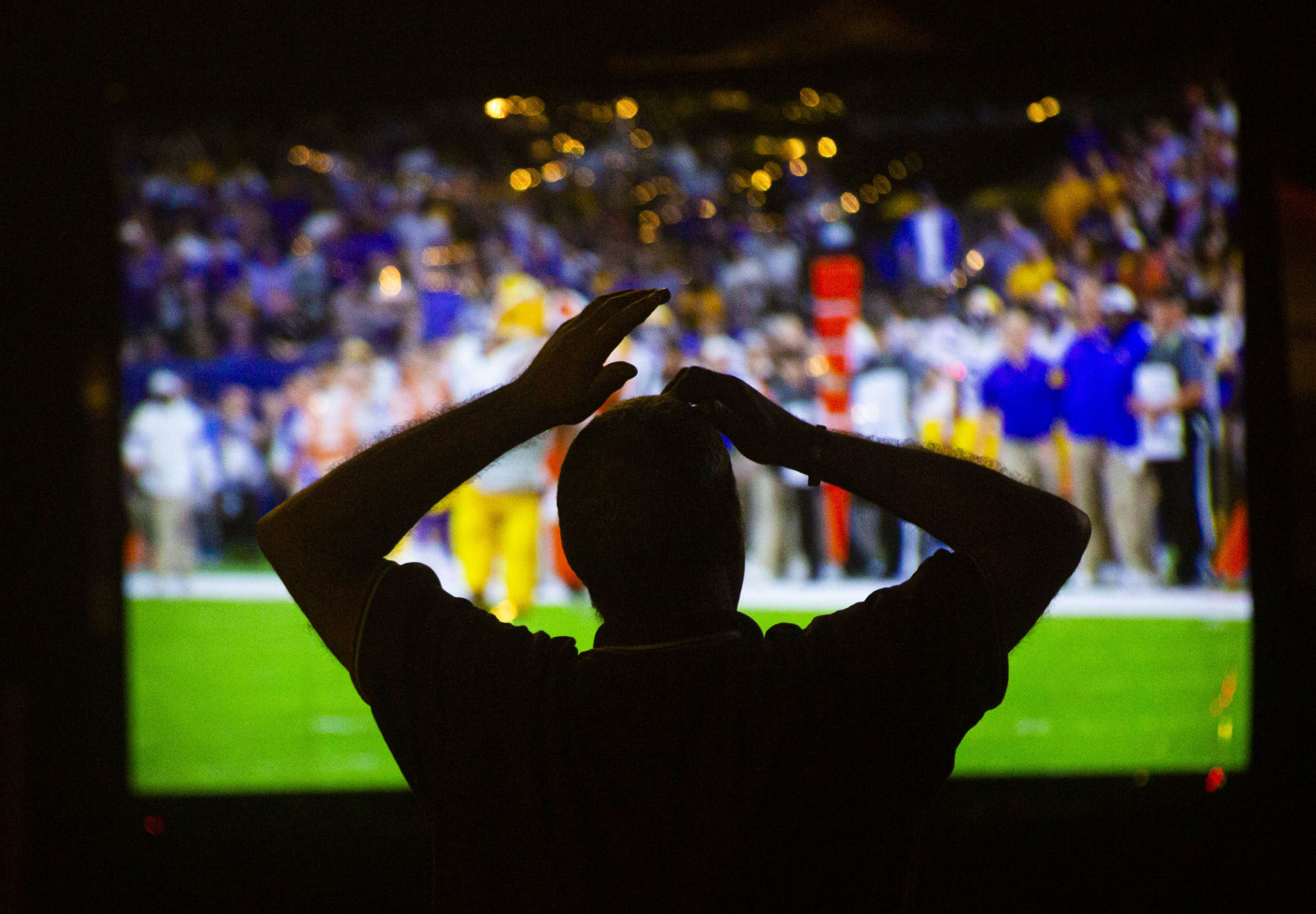 NO.lsufans.011420.26.JPG (copy)